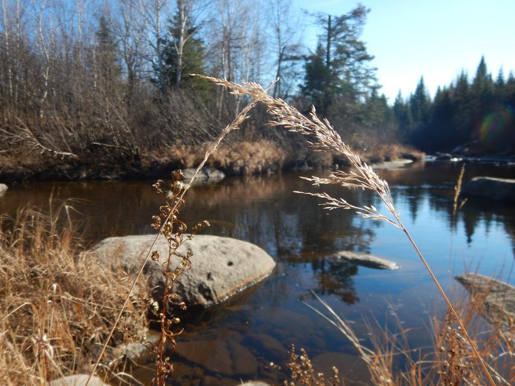 Aux Tipis De La Riviere Sauvage Chalet