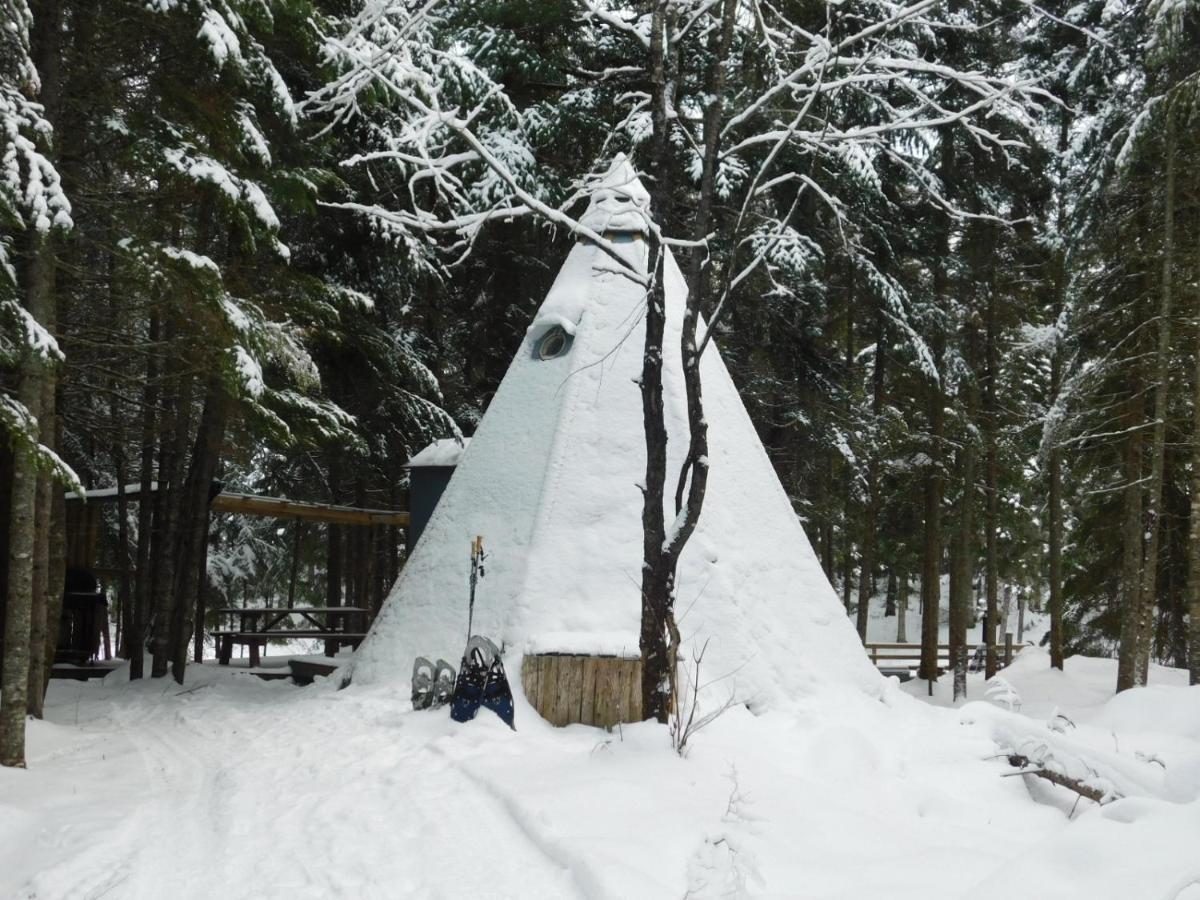 Aux Tipis De La Rivière Sauvage Chalet *